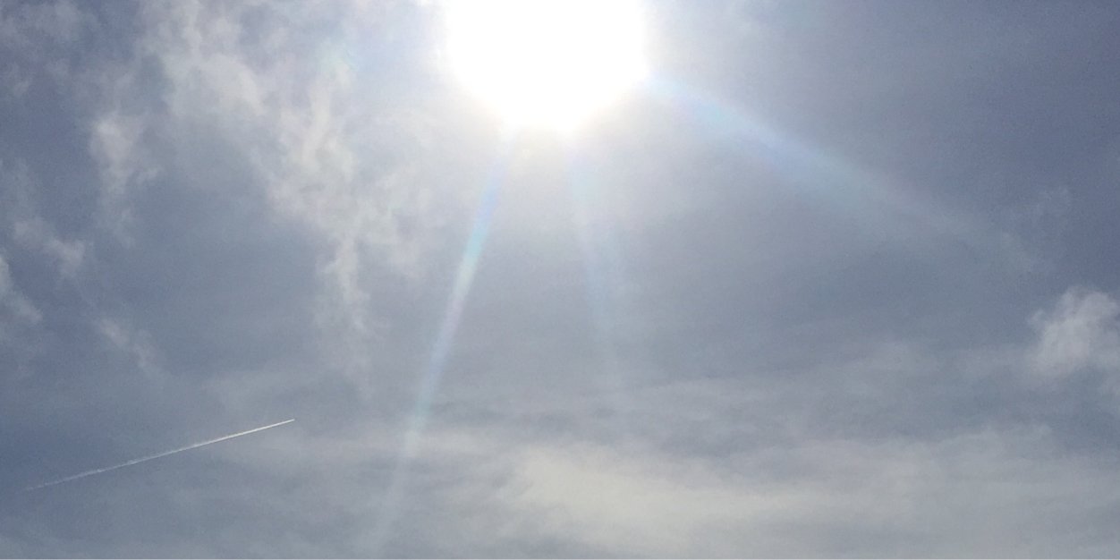 ellysun's profile banner image
