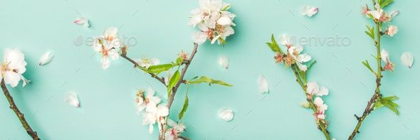 _KathyNicole_'s profile banner image