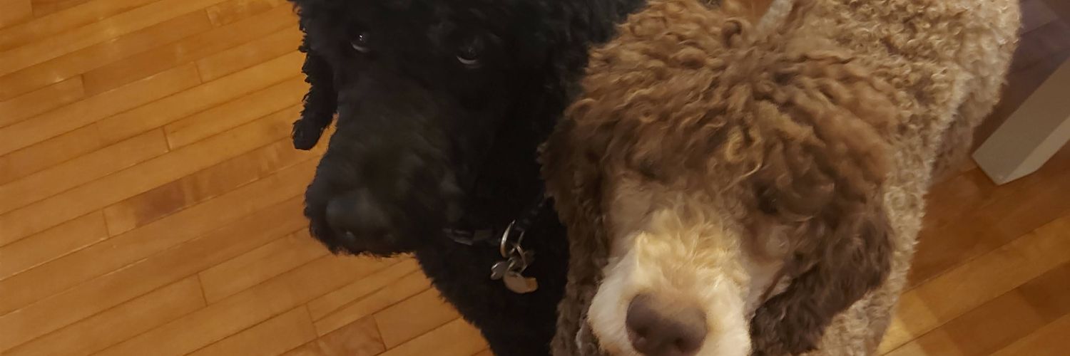 Amanda Troupe banner