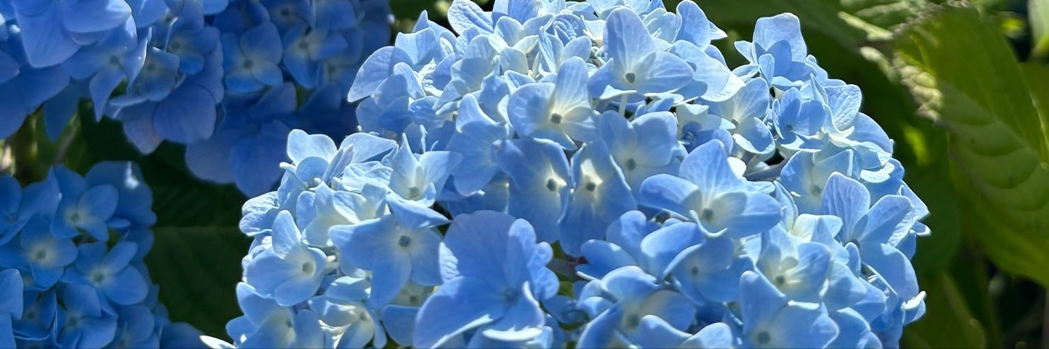 pretendtiffin's profile banner image