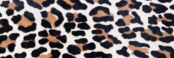 bethanytrievel's profile banner image