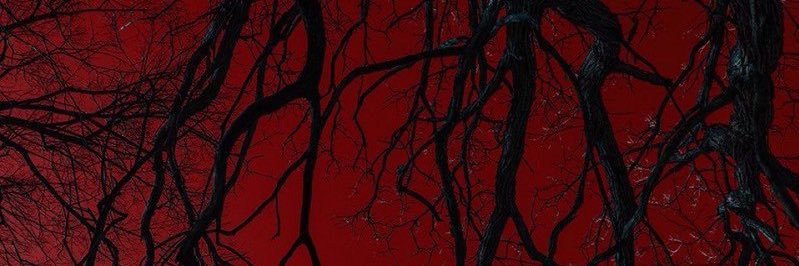 bitchmeel's profile banner image
