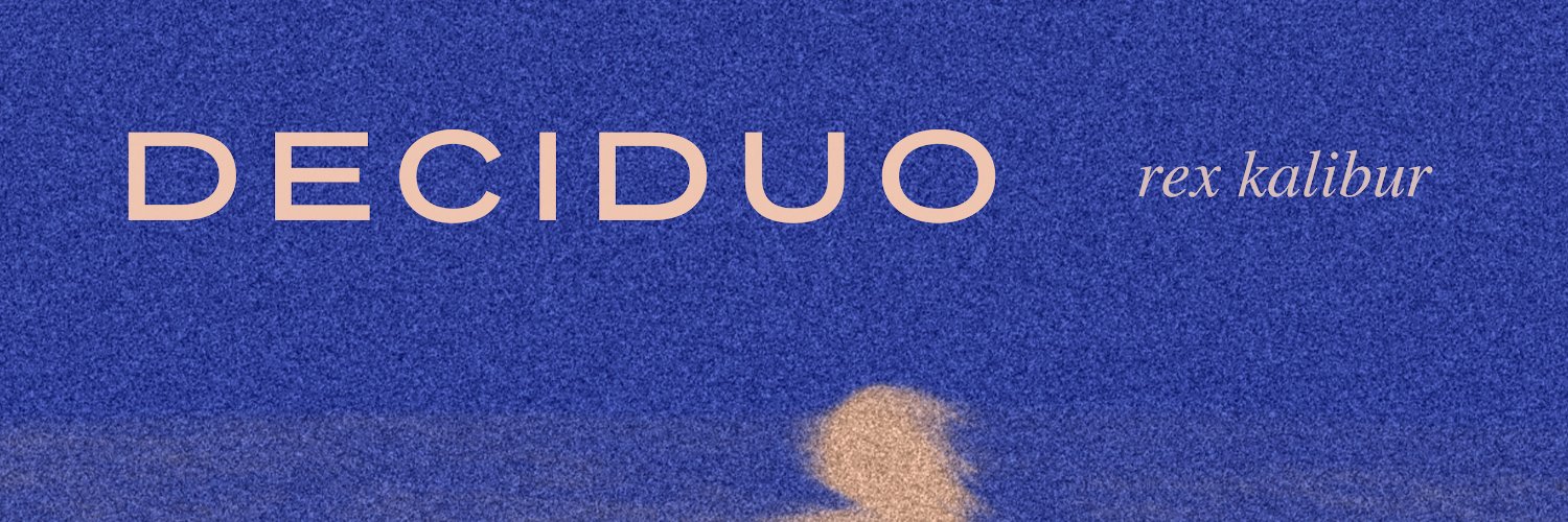 Rex Kalibur banner