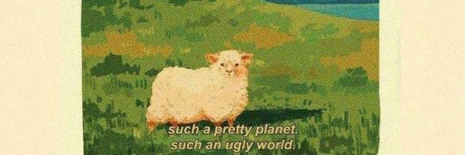 sheilass's profile banner image