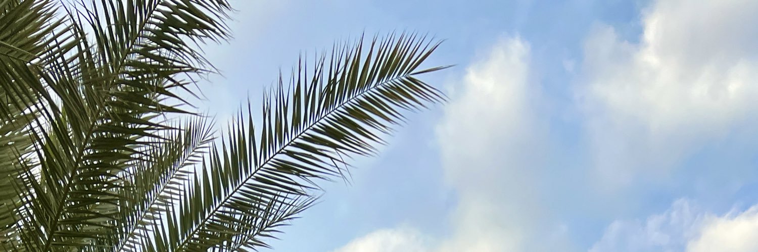 sunnyandy's profile banner image