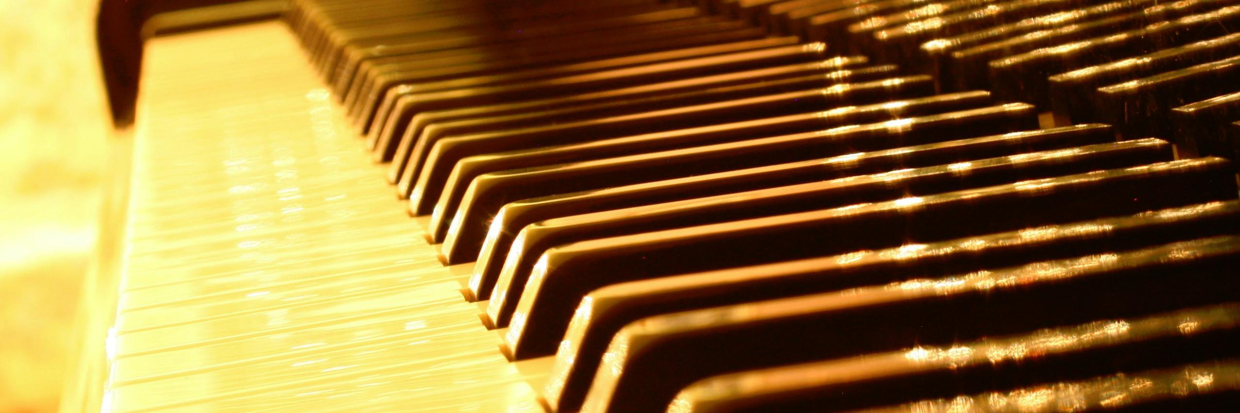 Liza banner