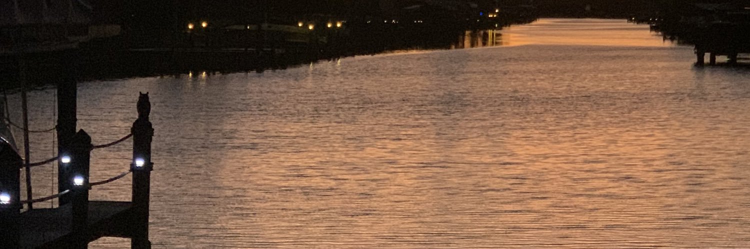 LakeOasis's profile banner image