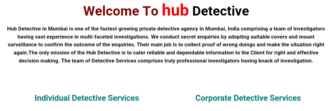 hubdetective's profile banner image