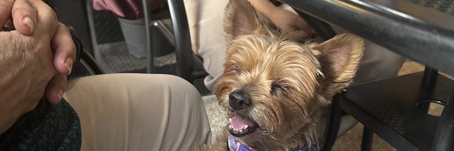 Peoony's profile banner image