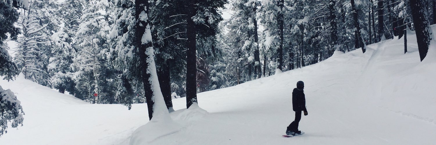 LexiiConn's profile banner image