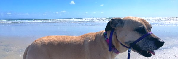 tedwards212 Profile Banner