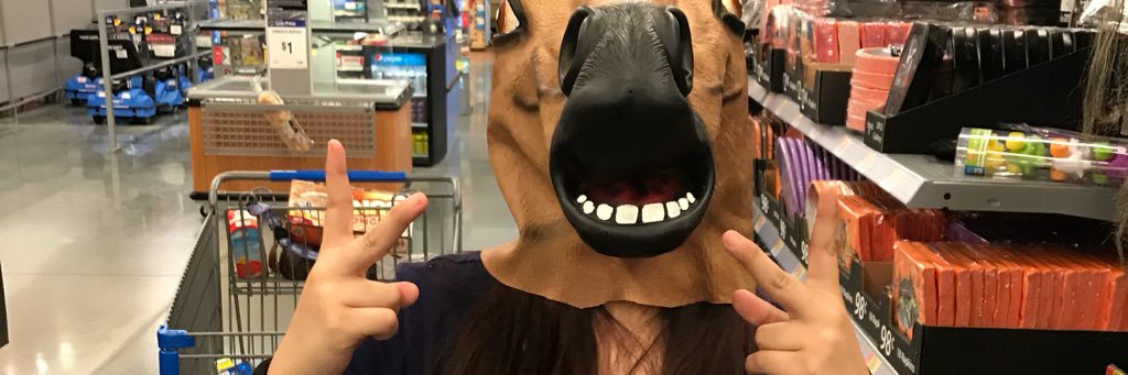 marydurits's profile banner image
