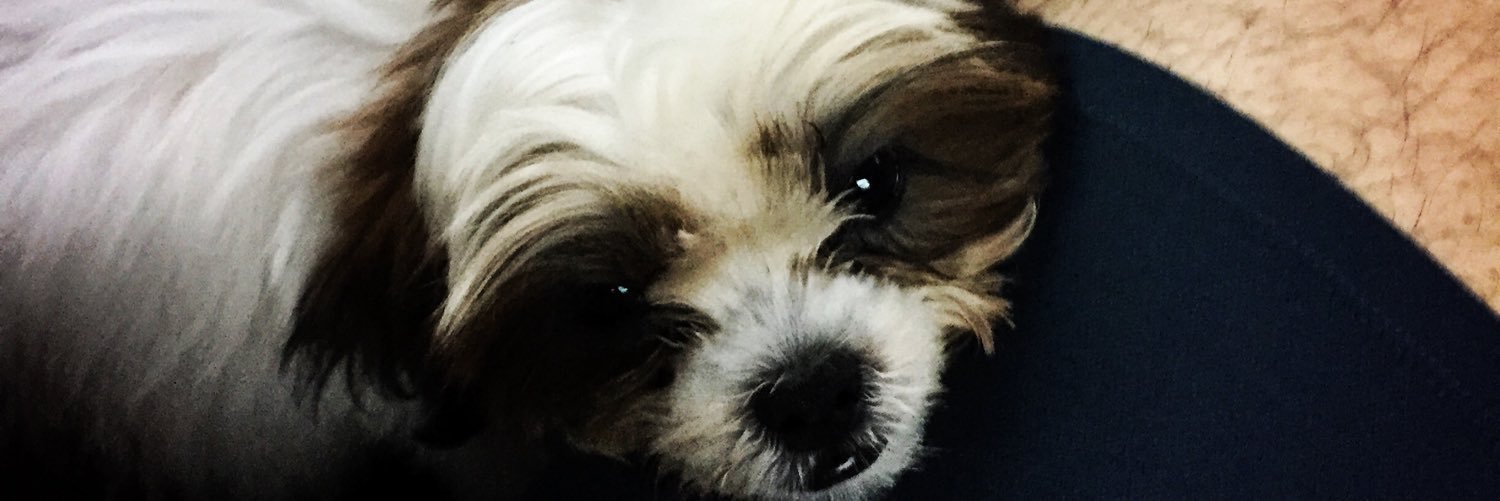 jasperatienza's profile banner image