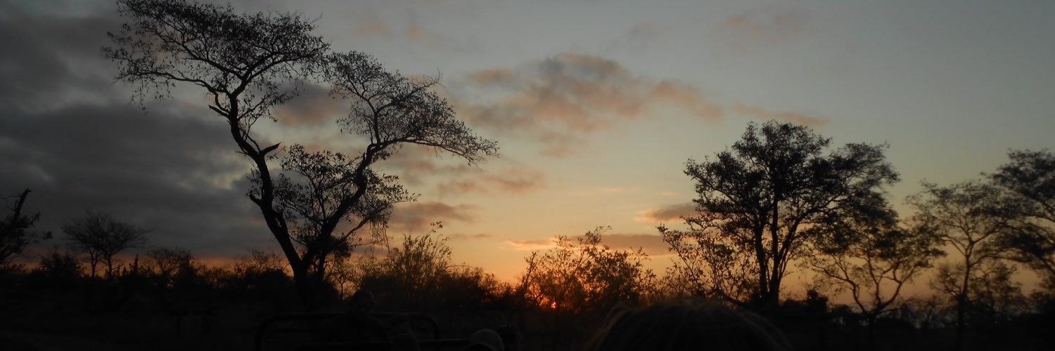 Daisy_Myring's profile banner image