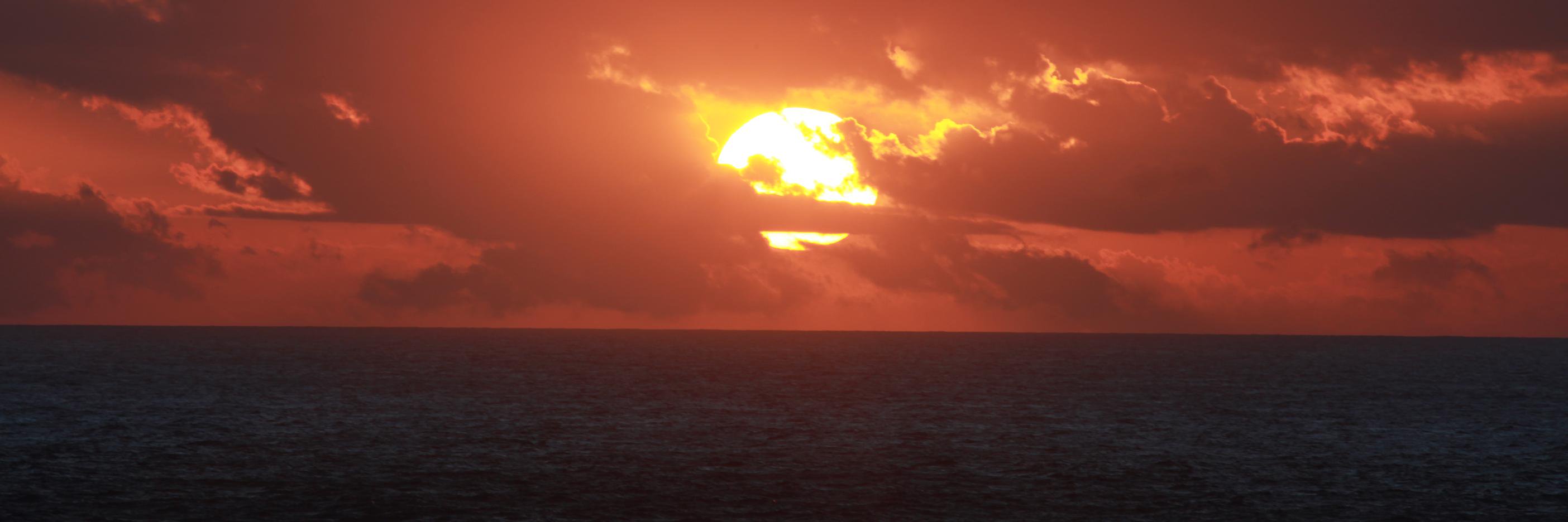 Kurtis Homan, Ph.D. banner