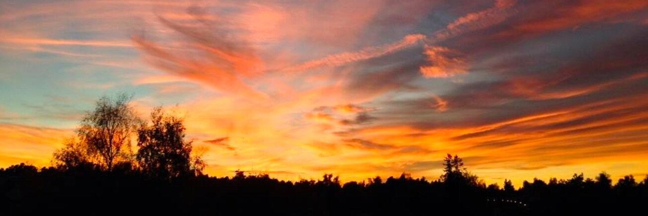 Calmputer 🍂 banner