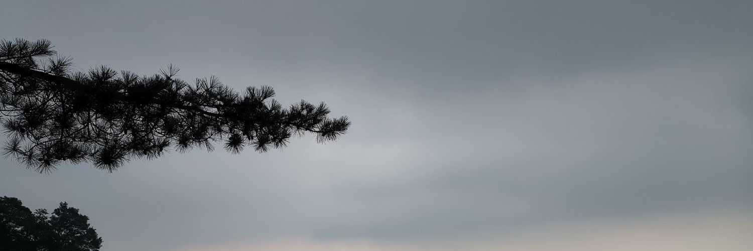 Ethan Q banner