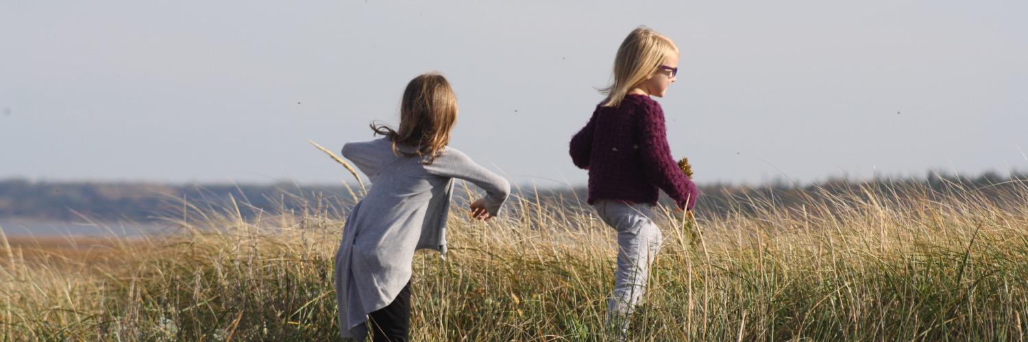 bernpower's profile banner image
