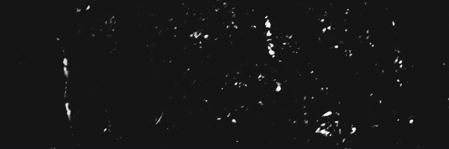 Don DiRe banner