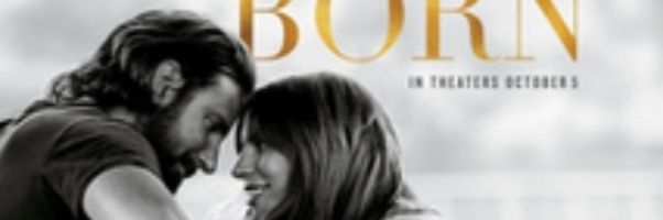 brad_lady's profile banner image