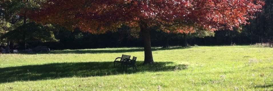 Bettina F. Drake banner