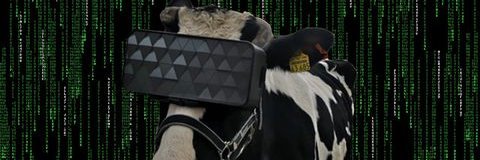valandr0's profile banner image