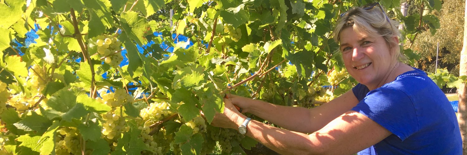 Katharine OCallaghan banner