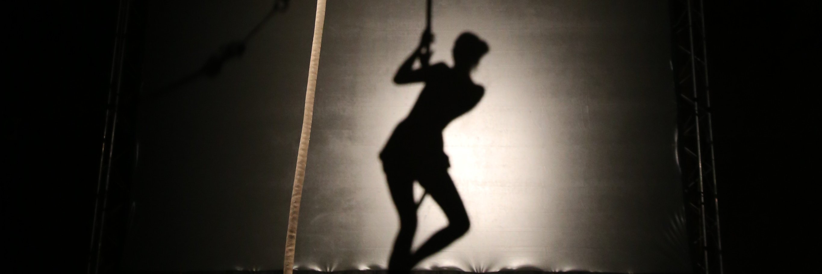 Viviana Siless, PhD banner