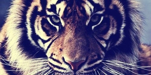 Beca_Deleon's profile banner image