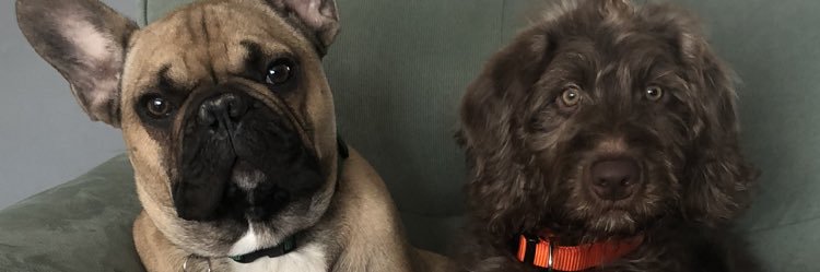 MarkPhillips32's profile banner image