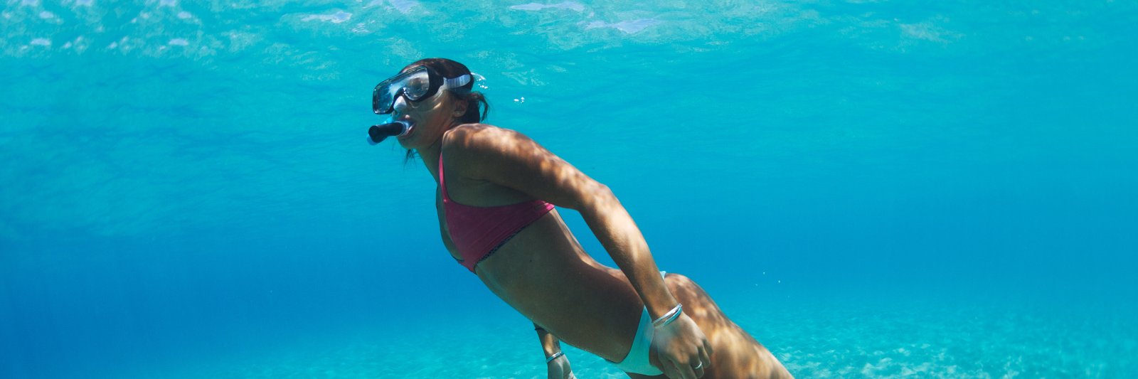 ShoreExcursions's profile banner image