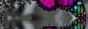 passion6060's profile banner image