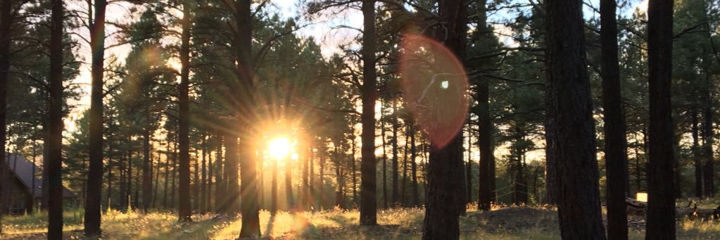 thebethdavis's profile banner image