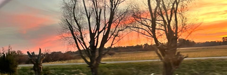 matimatos_'s profile banner image