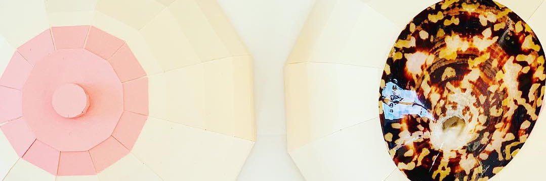 babyshellfrance's profile banner image