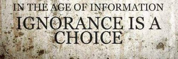 NoFuckingKings Profile Banner