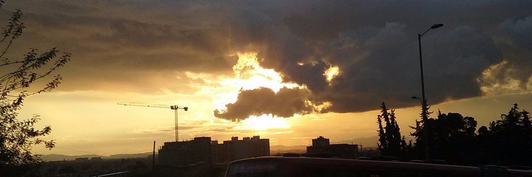 𝐖𝐢𝐥. 𝐗𝐕𝐈 banner