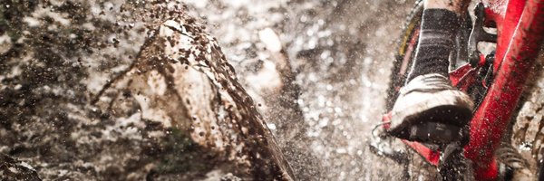 donglaa Profile Banner