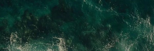 itzkoschei Profile Banner