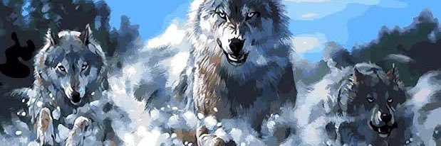 ozgurcuce's profile banner image
