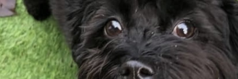 aetan2003's profile banner image