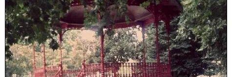 MariaFernandez banner