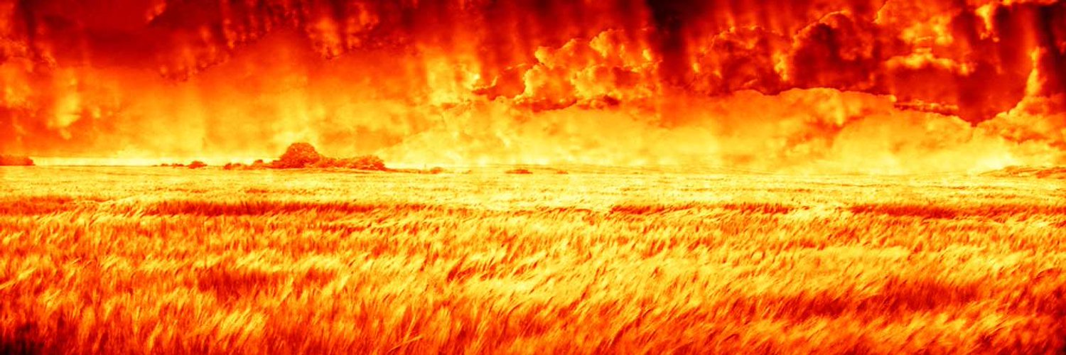 FirefistGolDAce's profile banner image