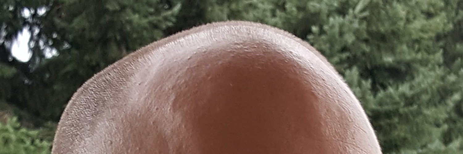 wenigertoast's profile banner image