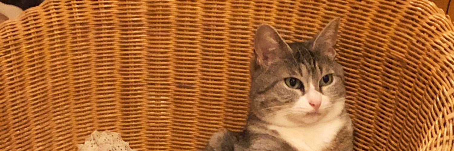 lemon_ap_sp's profile banner image