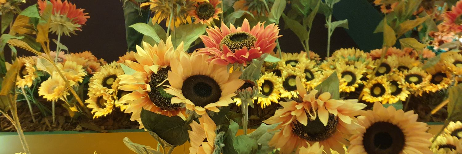 Podgerlicious's profile banner image