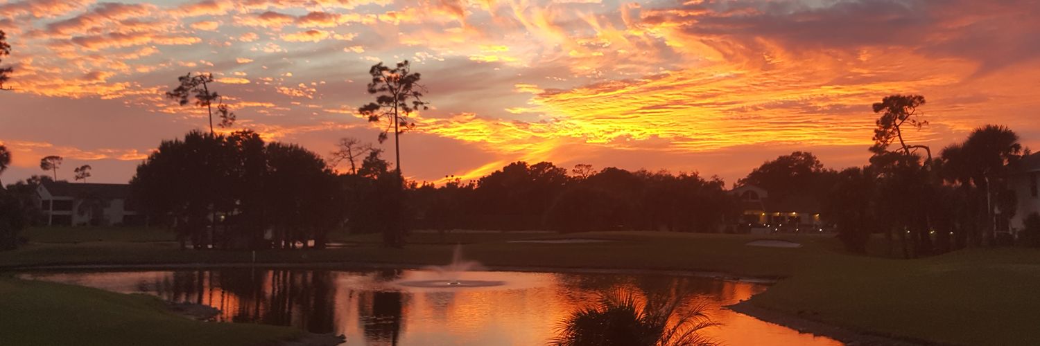 CarlosCardetFL's profile banner image
