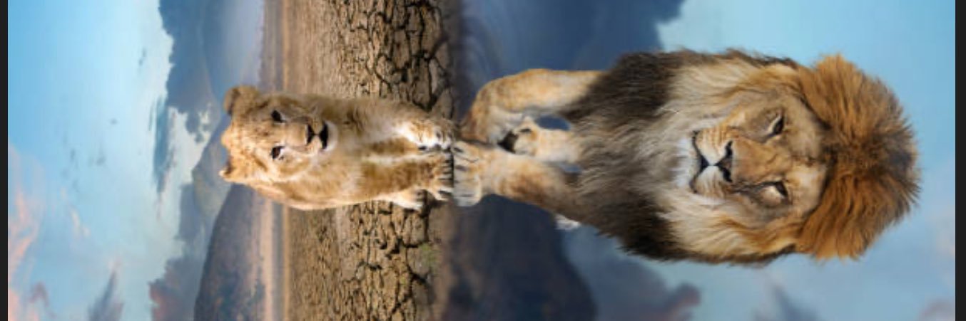 bjhaas12's profile banner image
