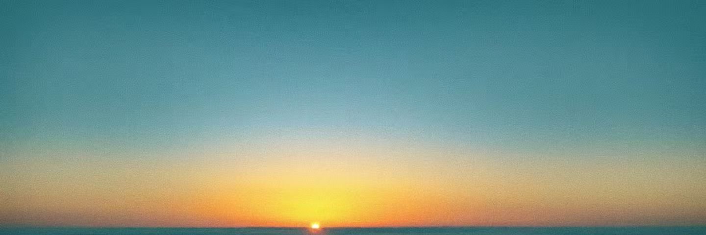 Kim Williams🐬TermMax banner