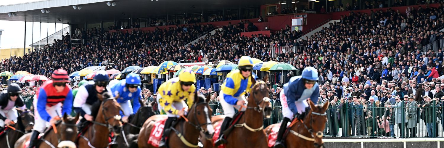 The Irish Field's banner